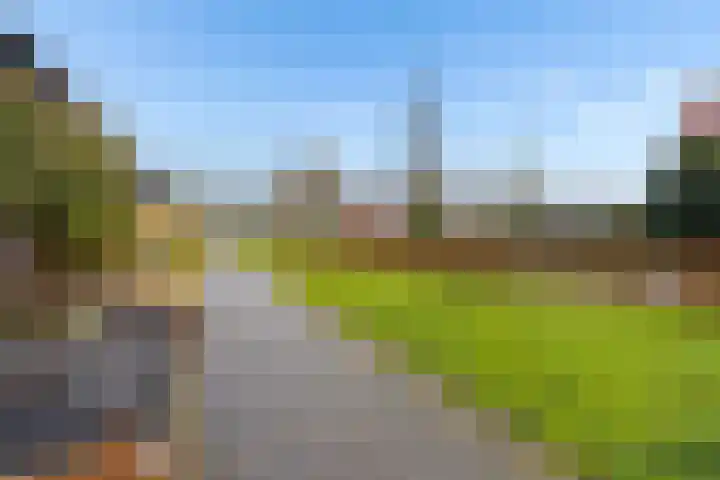 Baksteen 18 Dronten thumbnail 48