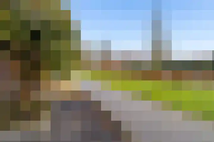 Baksteen 18 Dronten thumbnail 49