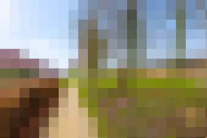 Baksteen 18 Dronten thumbnail 52