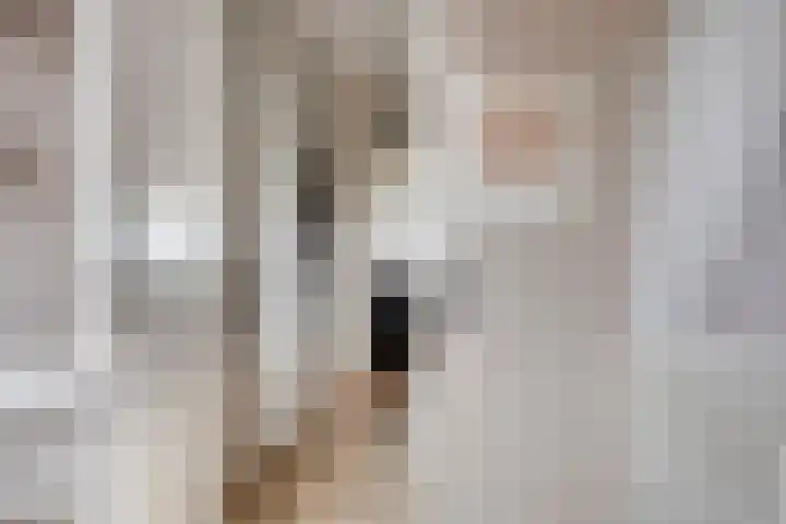 Baksteen 27 Dronten thumbnail 23