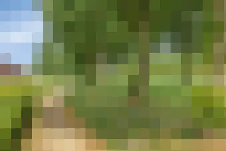 Baksteen 27 Dronten thumbnail 4