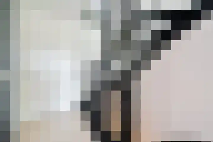 Baksteen 31 Dronten thumbnail 18