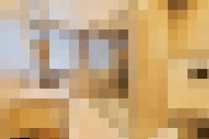 Baksteen 31 Dronten thumbnail 19