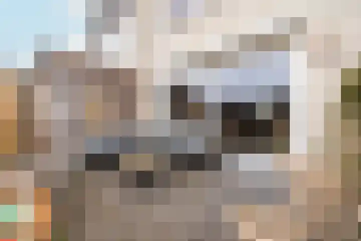 Baksteen 31 Dronten thumbnail 29