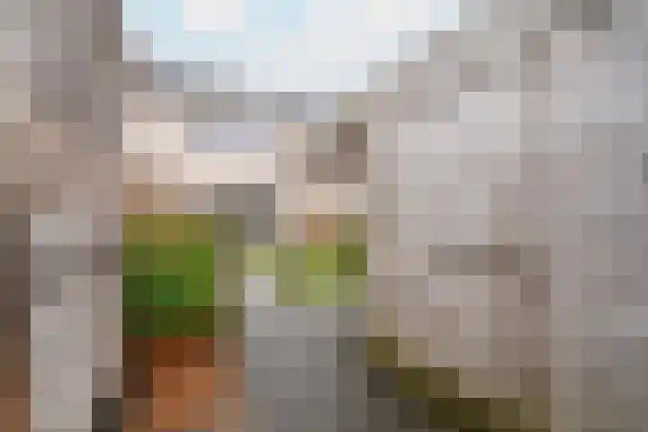 Baksteen 31 Dronten thumbnail 34