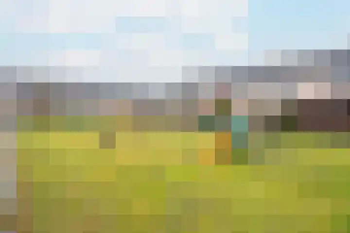 Baksteen 31 Dronten thumbnail 35