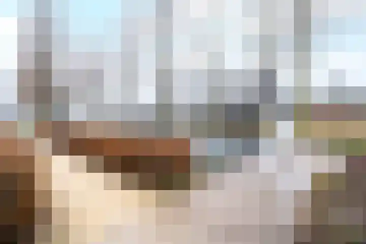 Baksteen 31 Dronten thumbnail 36