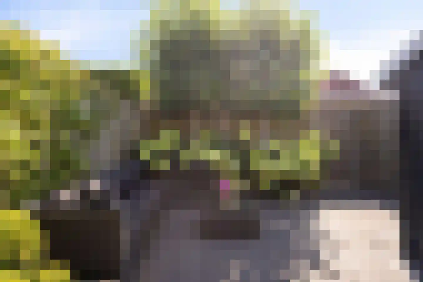 Baksteen 39 B Dronten thumbnail 30