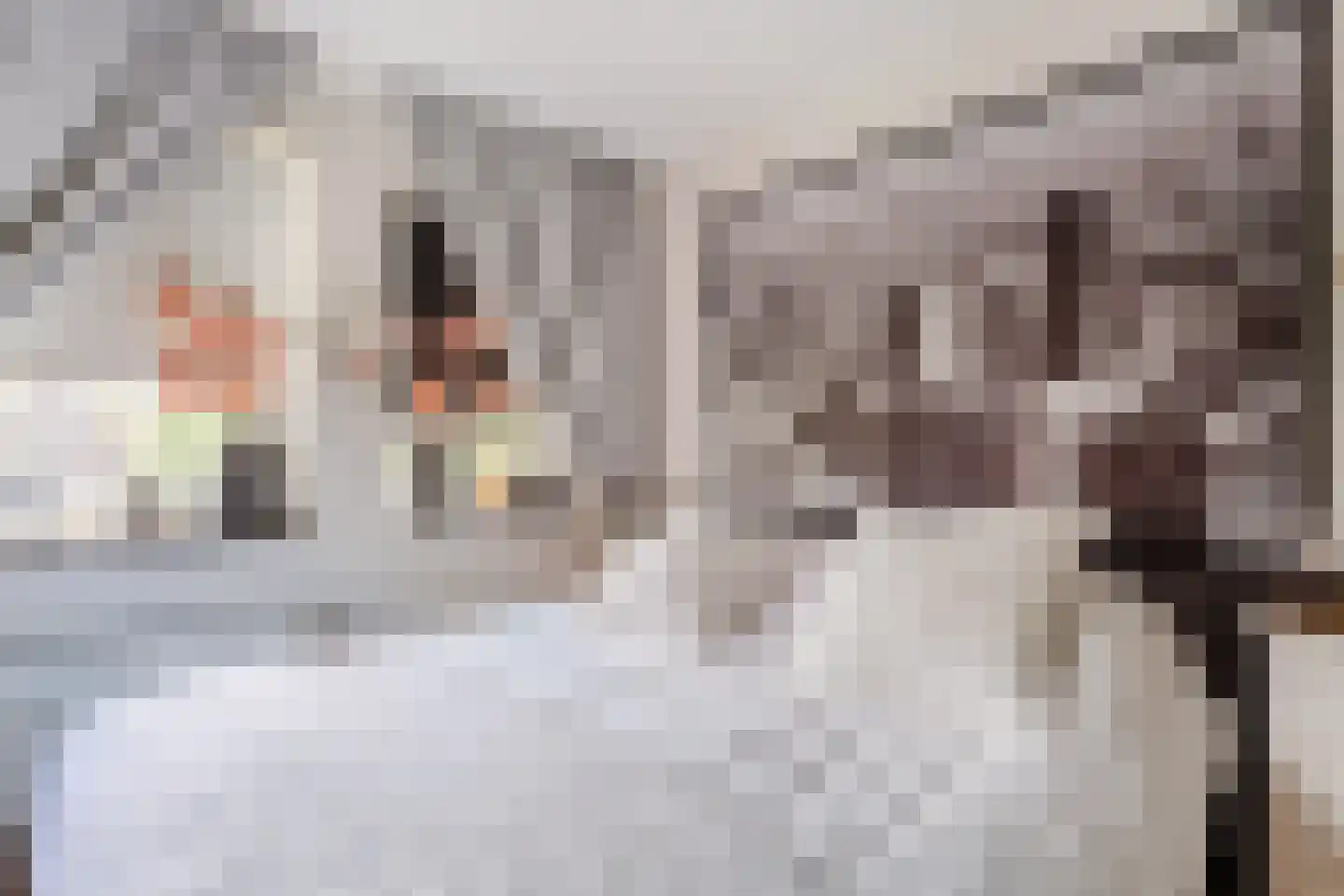 Baksteen 79 Dronten thumbnail 27