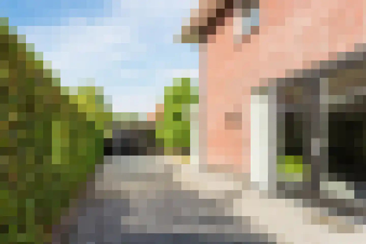 Baksteen 79 Dronten thumbnail 54