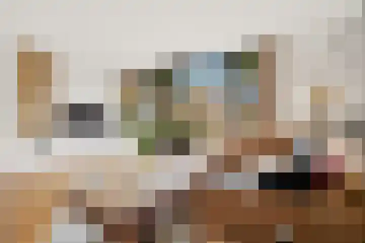 Baksweer 102 Raamsdonksveer thumbnail 13