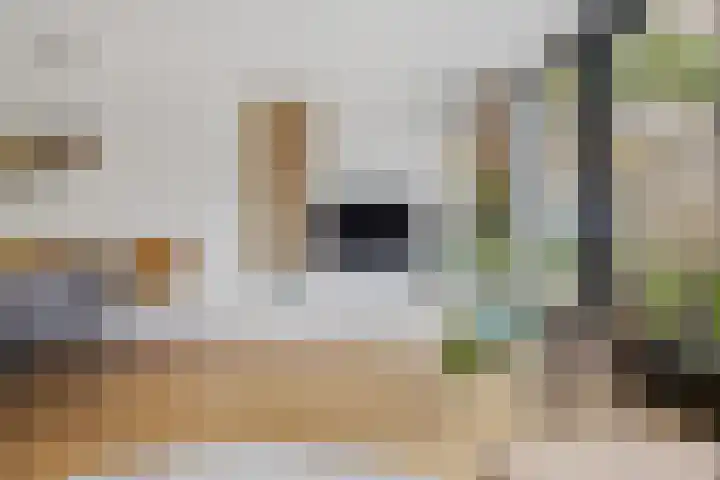 Baksweer 102 Raamsdonksveer thumbnail 17
