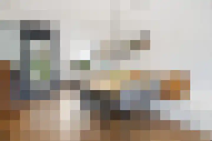 Baksweer 102 Raamsdonksveer thumbnail 19