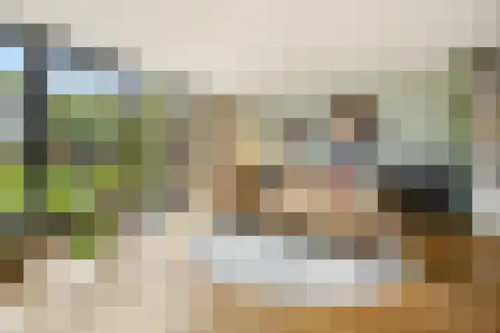Baksweer 102 Raamsdonksveer foto 2