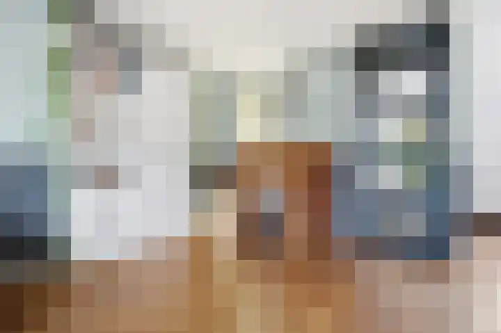 Baksweer 102 Raamsdonksveer thumbnail 20