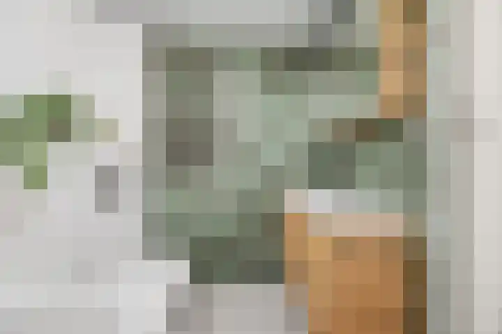 Baksweer 102 Raamsdonksveer thumbnail 32