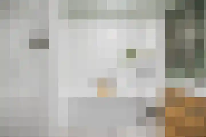Baksweer 102 Raamsdonksveer thumbnail 33