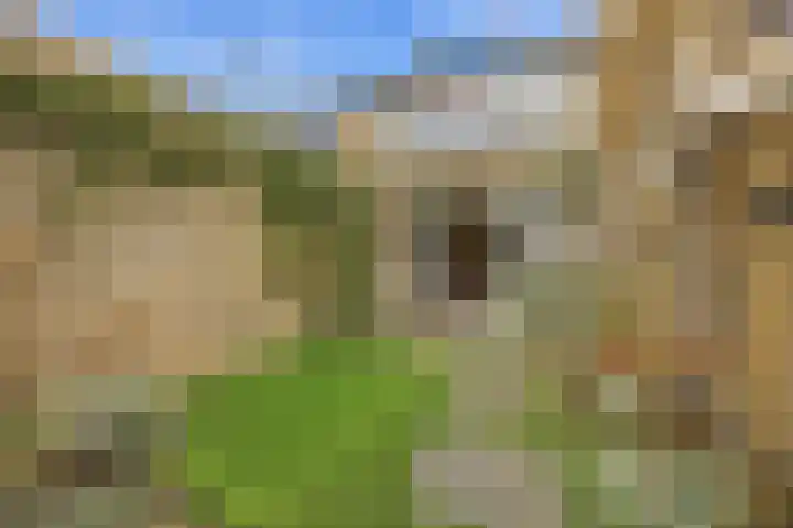 Baksweer 102 Raamsdonksveer thumbnail 50