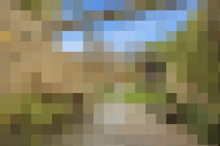 Baksweer 102 Raamsdonksveer thumbnail 51