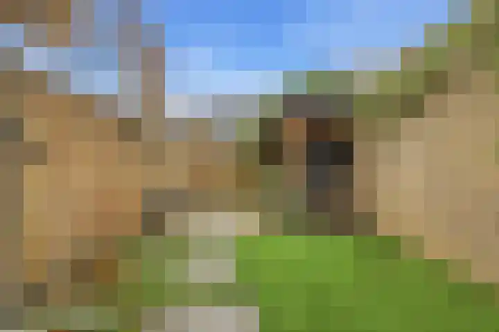 Baksweer 102 Raamsdonksveer thumbnail 52
