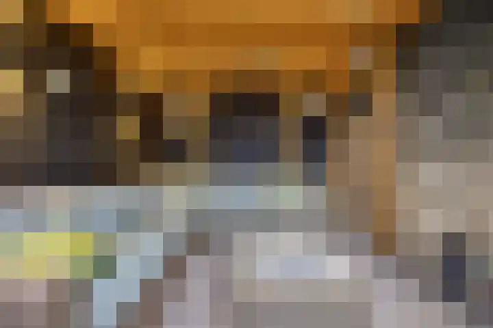 Baksweer 102 Raamsdonksveer thumbnail 55