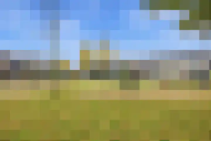 Baksweer 102 Raamsdonksveer thumbnail 58