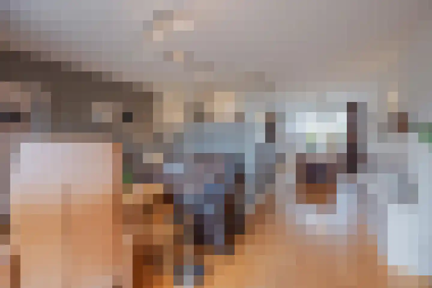 Baksweer 128 Raamsdonksveer thumbnail 18