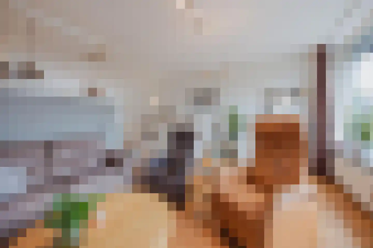 Baksweer 128 Raamsdonksveer thumbnail 20