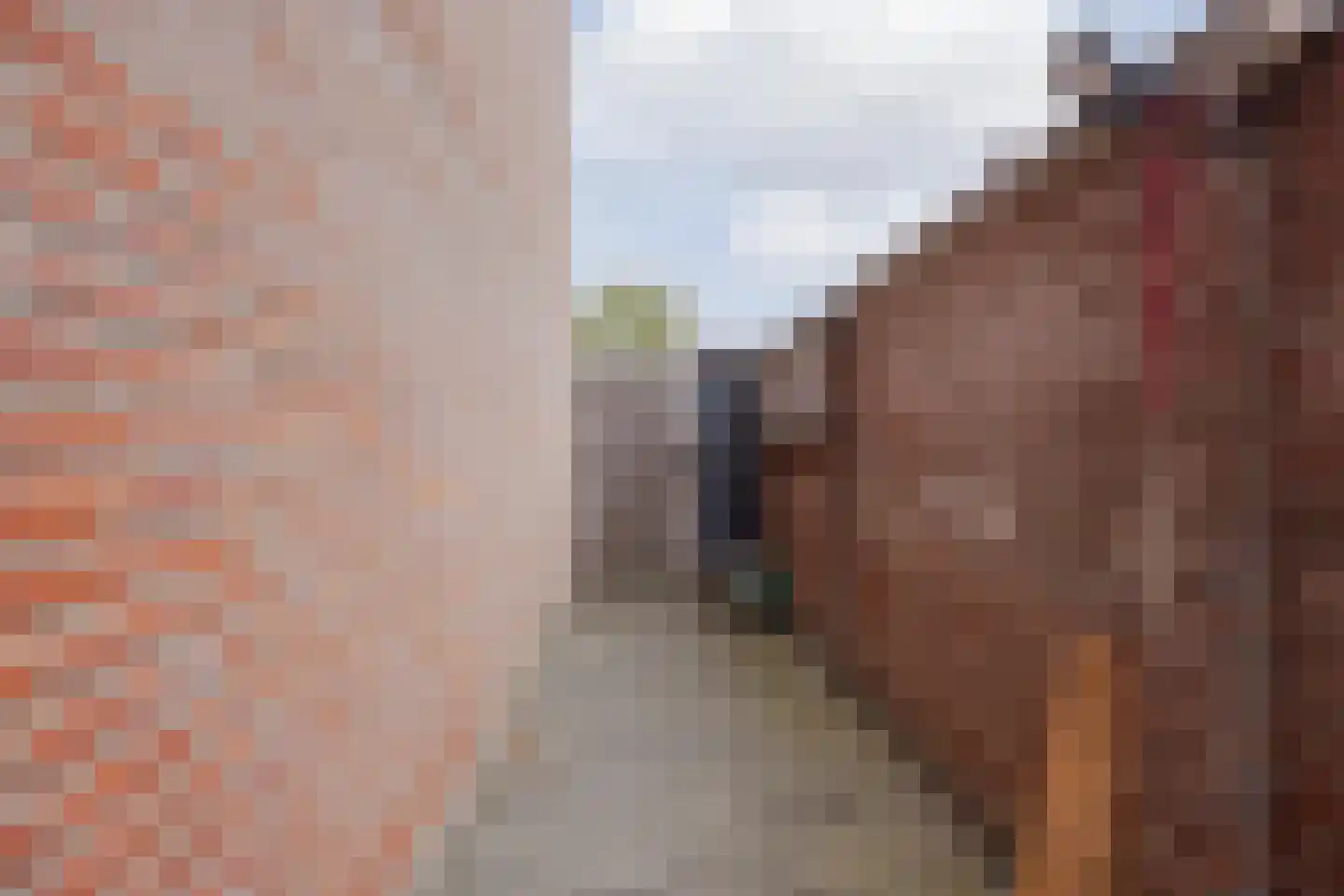 Baksweer 128 Raamsdonksveer thumbnail 38