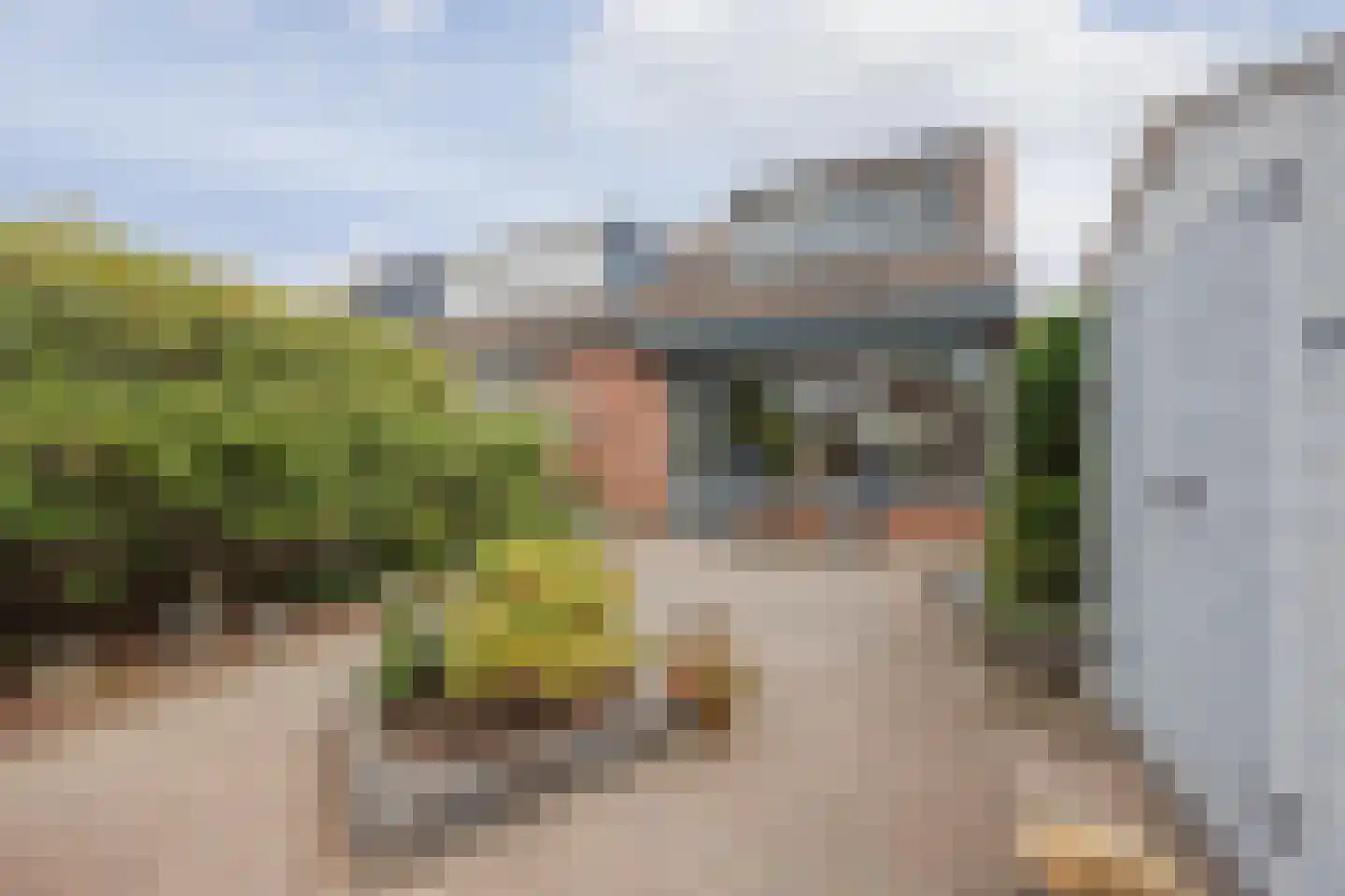Baksweer 128 Raamsdonksveer thumbnail 4
