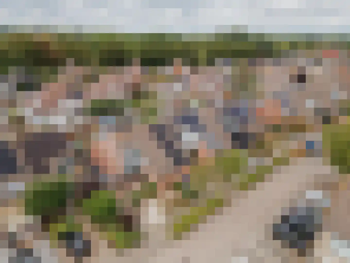Baksweer 128 Raamsdonksveer thumbnail 43