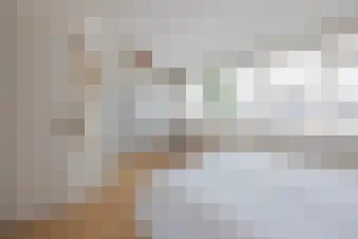 Baksweer 137 Raamsdonksveer thumbnail 26
