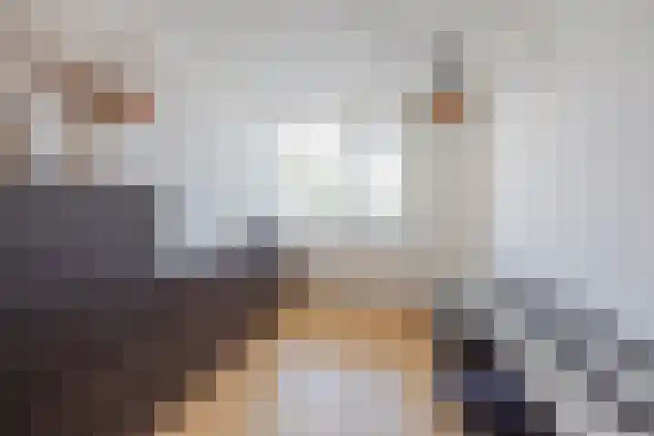 Baksweer 137 Raamsdonksveer thumbnail 30
