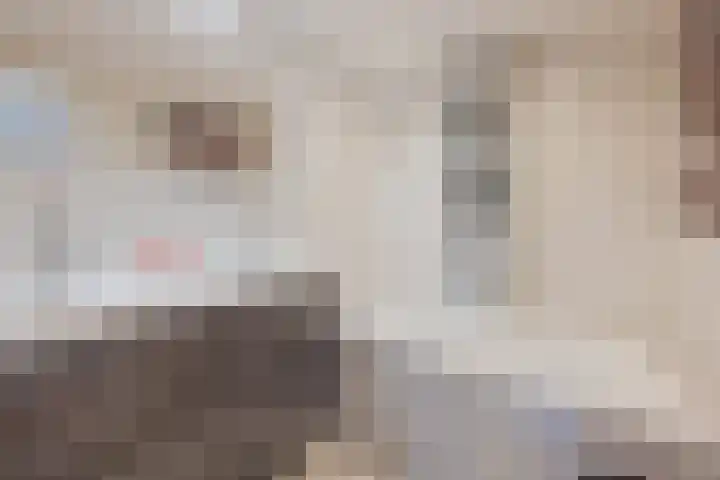 Baksweer 137 Raamsdonksveer thumbnail 4
