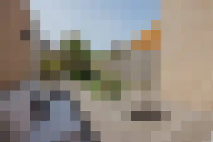 Baksweer 137 Raamsdonksveer thumbnail 40