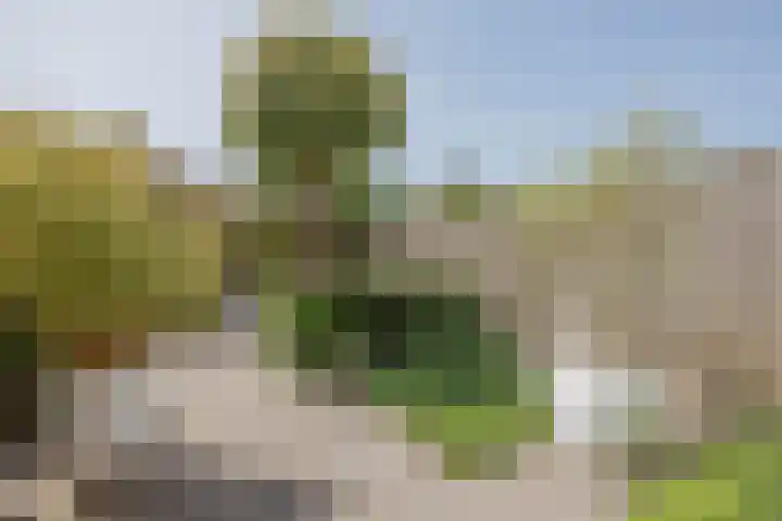 Baksweer 137 Raamsdonksveer thumbnail 41