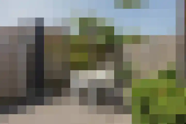 Baksweer 137 Raamsdonksveer thumbnail 42