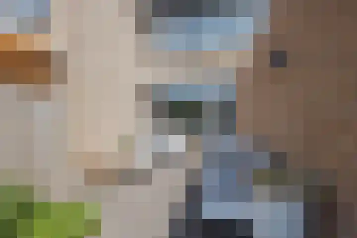 Baksweer 137 Raamsdonksveer thumbnail 43