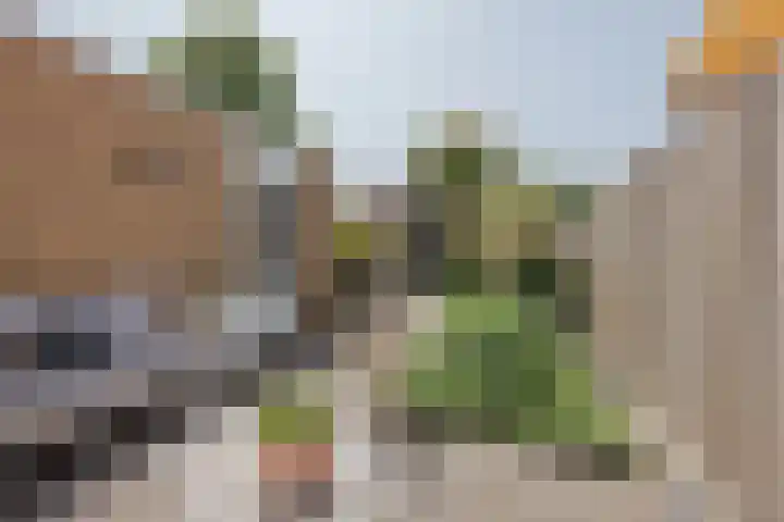 Baksweer 137 Raamsdonksveer thumbnail 5