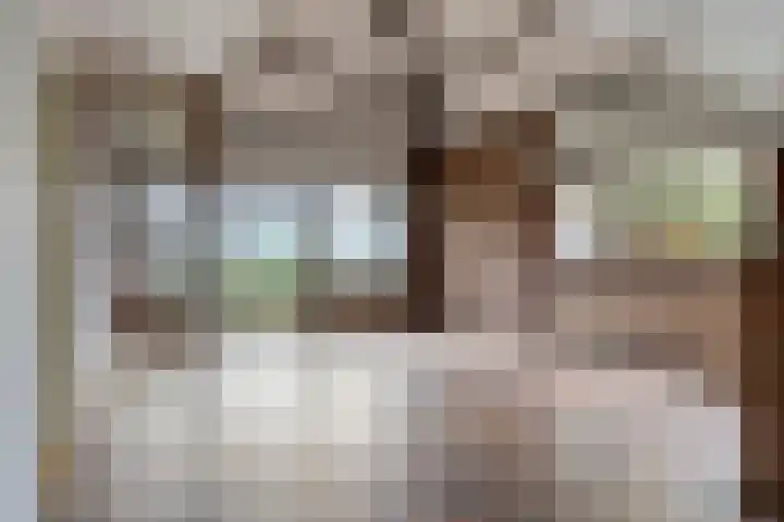 Baksweer 202 Raamsdonksveer thumbnail 11