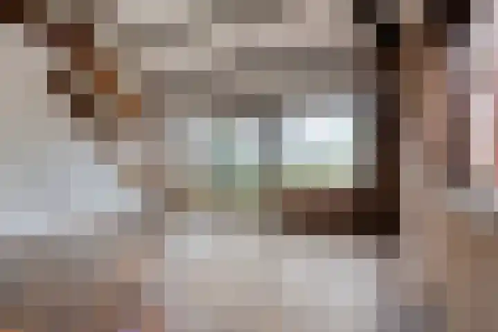 Baksweer 202 Raamsdonksveer thumbnail 12