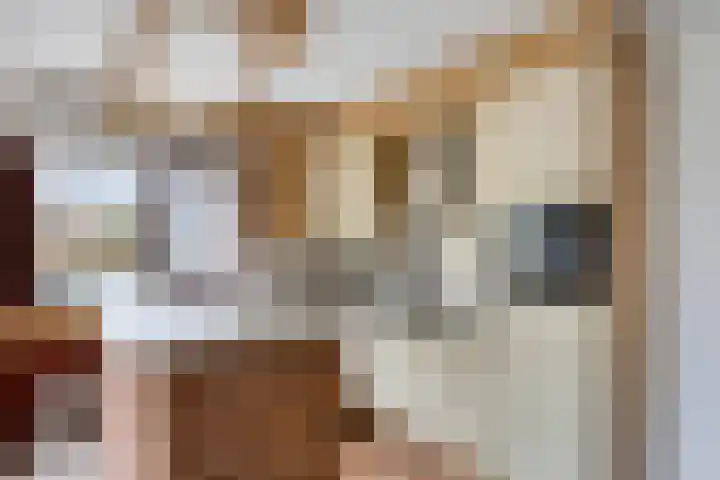 Baksweer 202 Raamsdonksveer thumbnail 17
