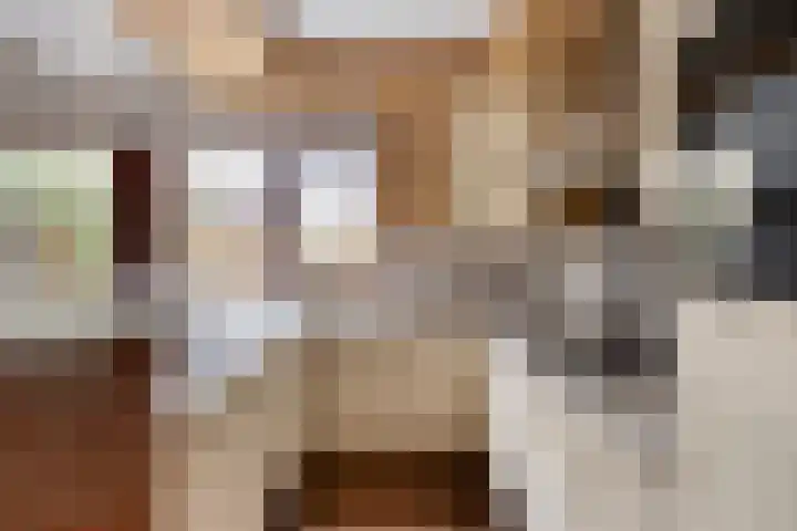 Baksweer 202 Raamsdonksveer thumbnail 18