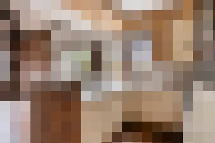 Baksweer 202 Raamsdonksveer thumbnail 19