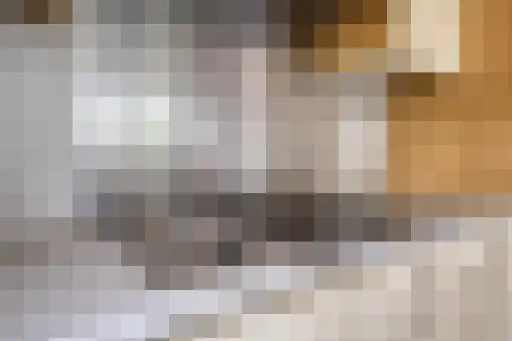 Baksweer 202 Raamsdonksveer thumbnail 20