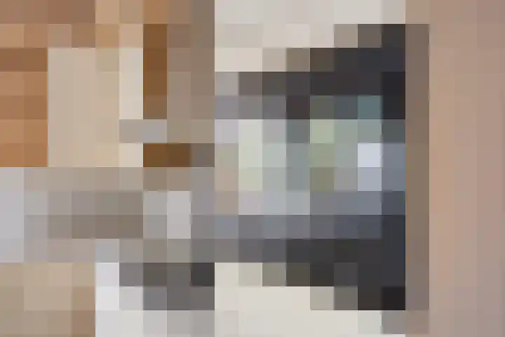 Baksweer 202 Raamsdonksveer thumbnail 21