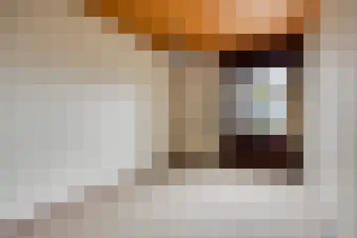 Baksweer 202 Raamsdonksveer thumbnail 22
