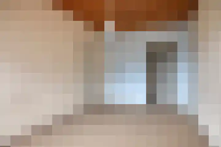 Baksweer 202 Raamsdonksveer thumbnail 23