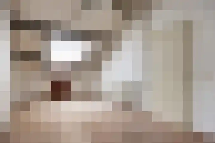 Baksweer 202 Raamsdonksveer thumbnail 36