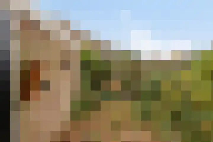 Baksweer 202 Raamsdonksveer thumbnail 41